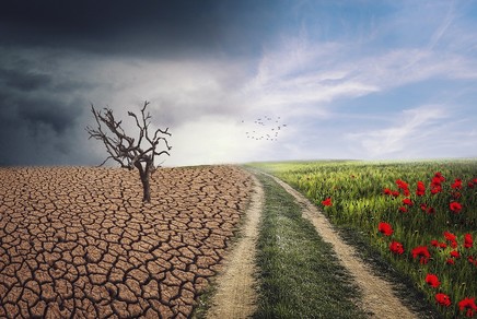 knowledge-hub_1/pxclimateaction-4684217