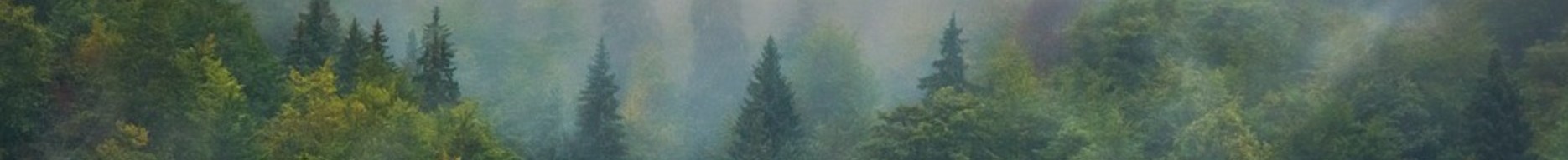 knowledge-hub_1/trees-975091